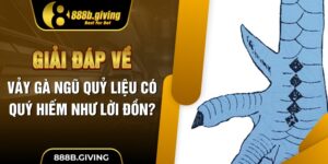 Vảy Gà Ngũ Quỷ