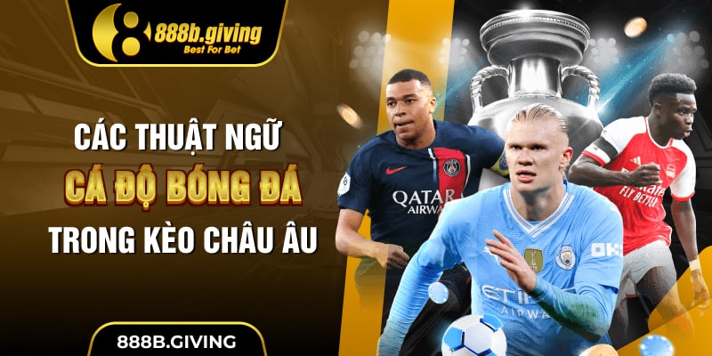 Các thuật ngữ cá độ bóng đá trong kèo Châu Âu