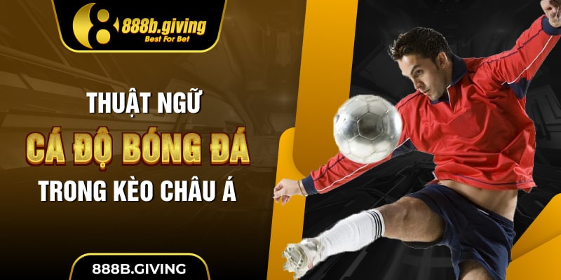 Thuật ngữ cá độ bóng đá trong kèo Châu Á