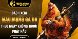 Cách Xem Màu Mạng Gà Đá Theo Ngày
