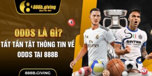 Odds Là Gì