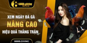 Xem Ngày Đá Gà